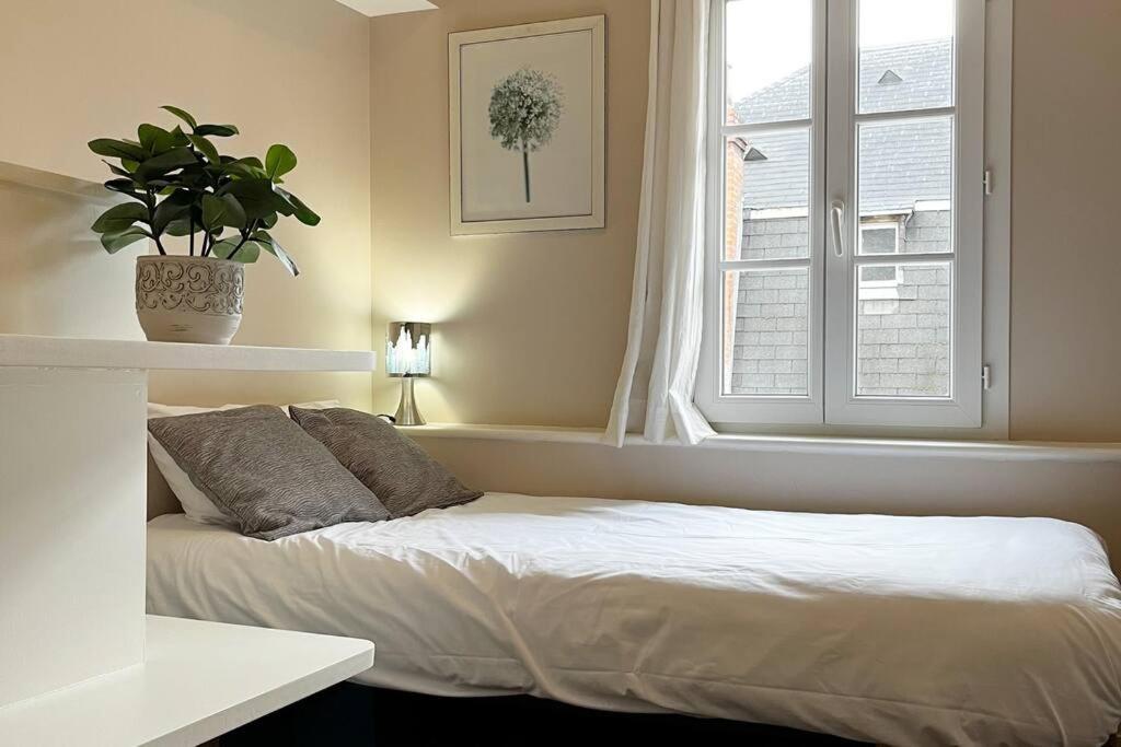 #Le Maillard #Grand F2 #Hyper Centre Apartment Brive-la-Gaillarde Ngoại thất bức ảnh